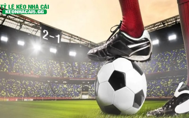 Cac cach doc keo tai xiu uy tin nhat Các cách đọc kèo tài xỉu uy tín nhất