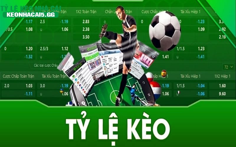 Ty le keo nha cai noi tieng la diem hen the thao hoan hao Tỷ lệ kèo nhà cái nổi tiếng là điểm hẹn thể thao hoàn hảo
