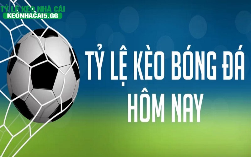 Ty le keo nha cai Tỷ lệ kèo nhà cái